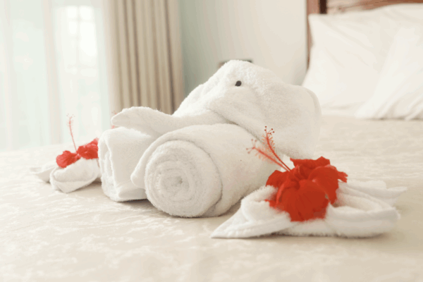 Scherm­afbeelding 2025-07-21 om 19.48.13