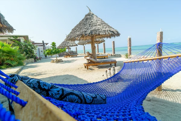 coral-cliff-zanzibar-ocean-2