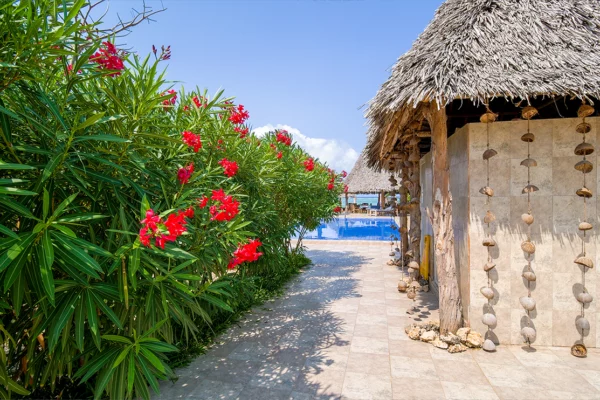 coral-cliff-zanzibar-ocean-view-14